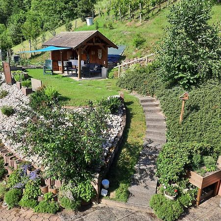 Chambres D'Hotes "Au Val Sejour" Alsace Saint-Martin  Kültér fotó
