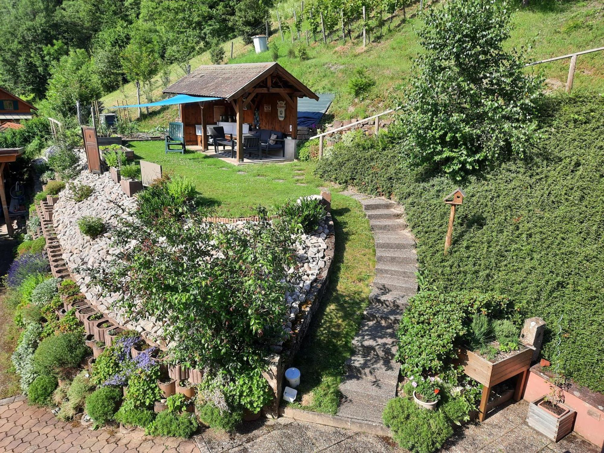 Chambres D'Hotes "Au Val Sejour" Alsace Saint-Martin  Kültér fotó