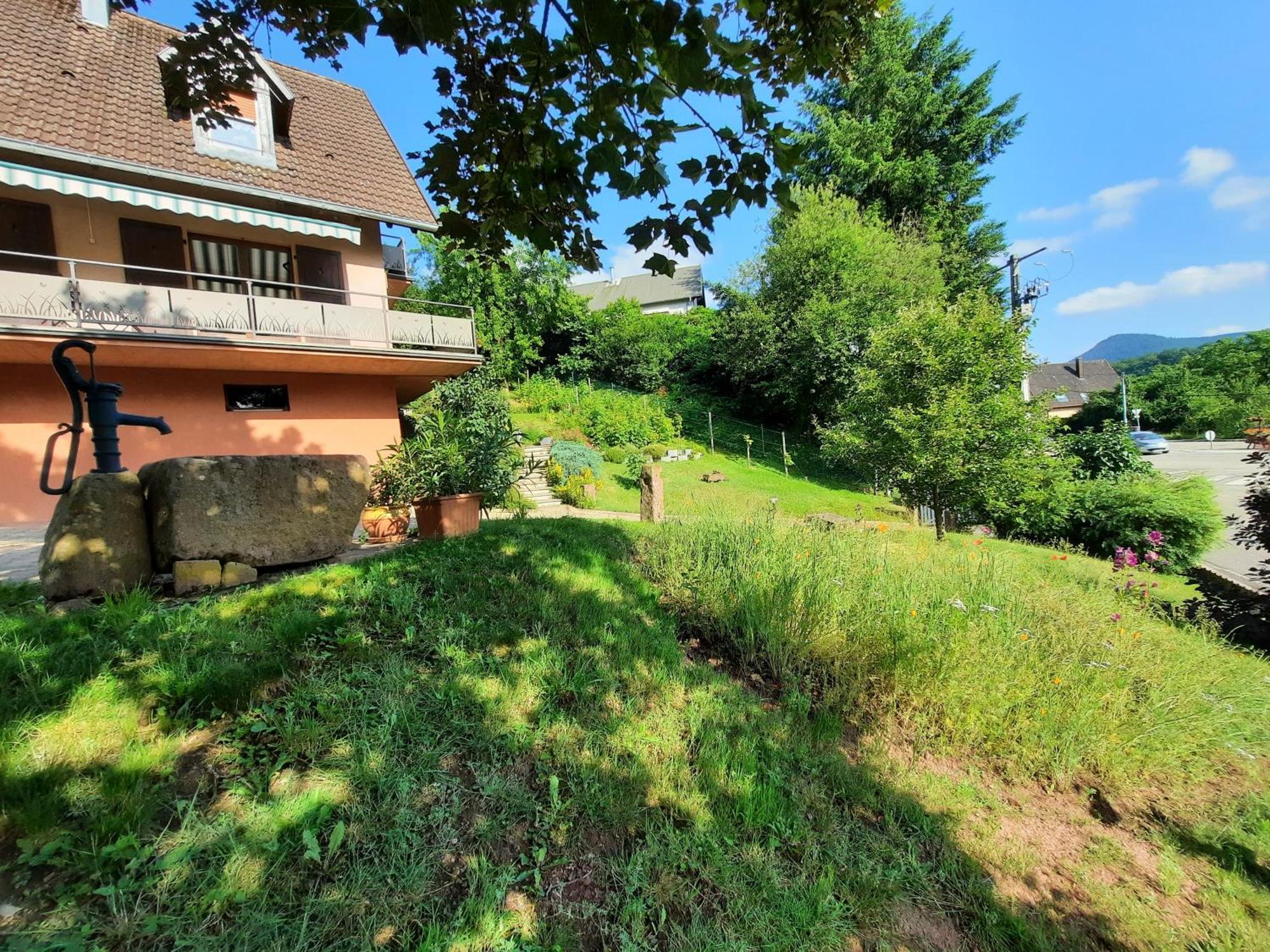 Chambres D'Hotes "Au Val Sejour" Alsace Saint-Martin  Kültér fotó