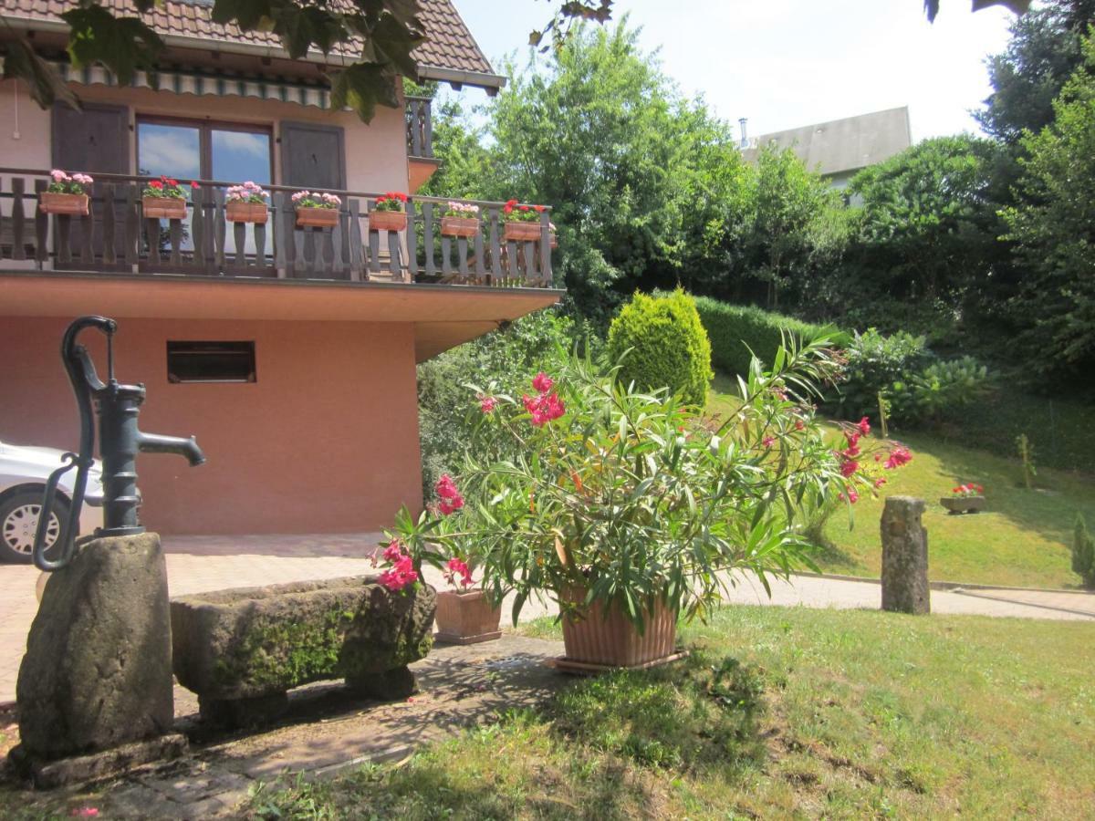 Chambres D'Hotes "Au Val Sejour" Alsace Saint-Martin  Kültér fotó
